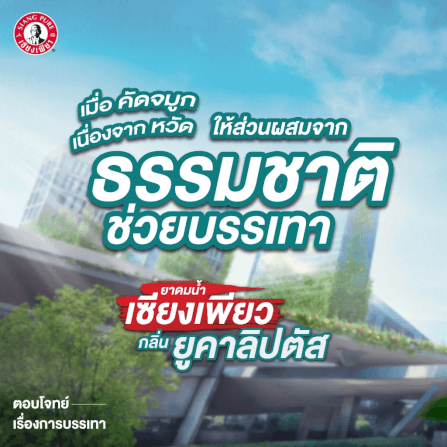 ยาดมน้ำ เซียงเพียว กลิ่นยูคาลิปตัส ชนิดลูกกลิ้ง 3 ซีซี (จำนวน 12 ชิ้น)_1